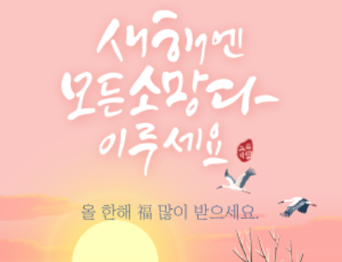 2026 병오년, 새해 복 많이 받으세요.